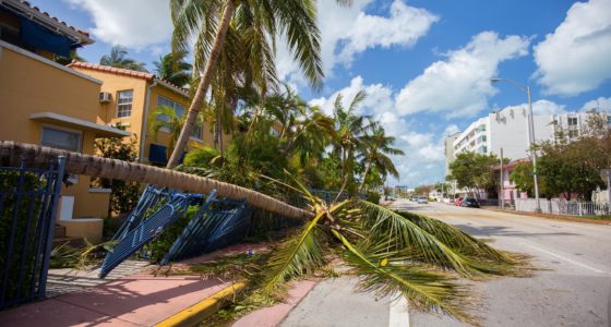 Special Assessments May Provide Insured Cash Flow After Storm
