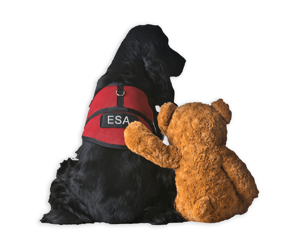 ESAv4