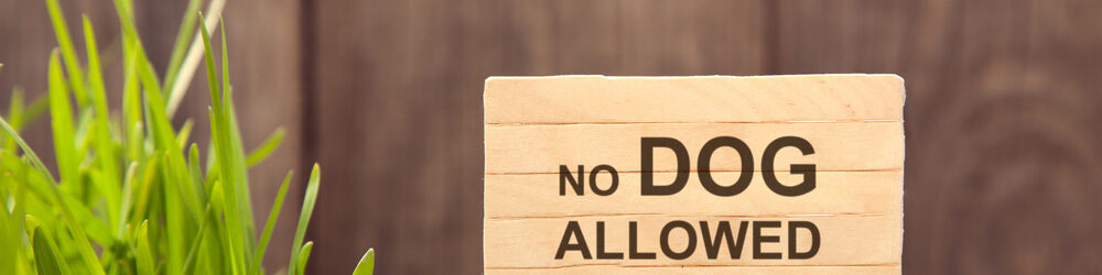 no-pet-image-a no-pet-image-a