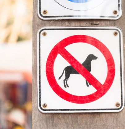 ¿Vive usted en una comunidad que no acepta animales?