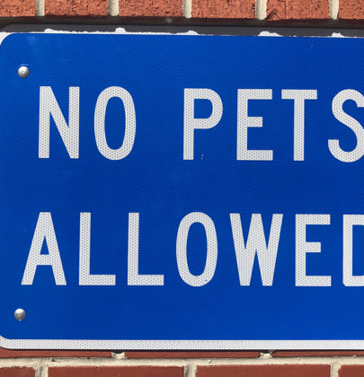 Tenants Can Claim Support Animal Rights