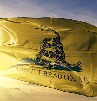 “Don’t Tread on Me”: The Permissibility of the Gadsden Flag in Your Community