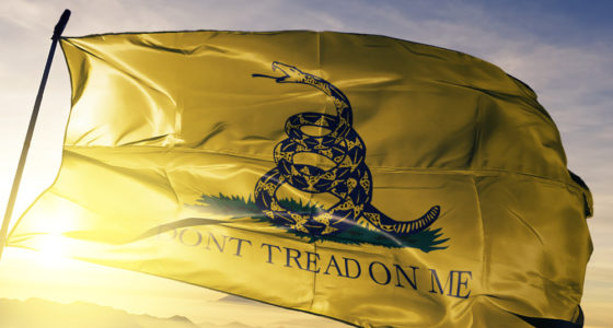 “Don’t Tread on Me”: The Permissibility of the Gadsden Flag in Your Community