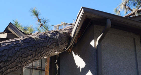 Hurricane Insurance Claim Deadlines