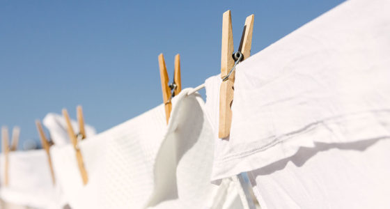 Backyard Clothesline Causes Flap