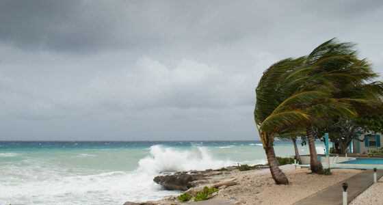 Hurricane Insurance Claims for Condominium Associations
