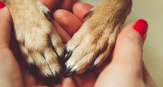 Take a Bite Out of Fraudulent Emotional Support Animal Requests