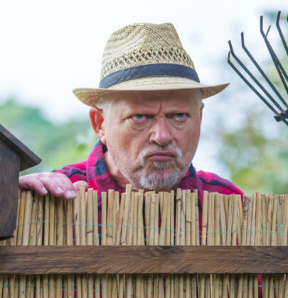 Single Director Can’t Set Agenda