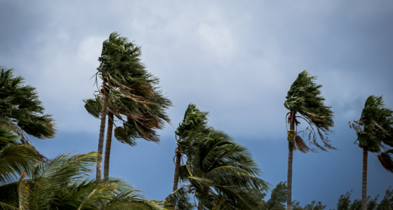 “Crucial Tips for Filing Your Hurricane Damage Claim: An Adjuster’s Insight into a Board’s Fiduciary Duties” – Florida Community Association Journal