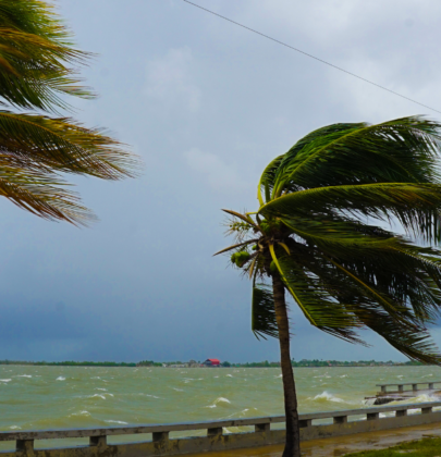 Storm-Ready in Seconds: How Shark Tank’s StormBag Is Changing Hurricane and Severe Weather Prep