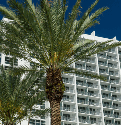New Condominium Laws Regarding Annual Meetings