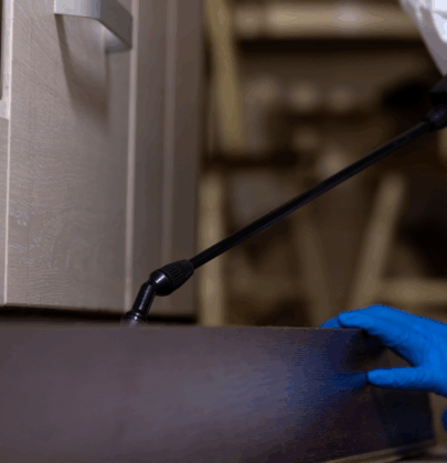 Monsters In The Walls — Pest Control Truths for Condos and HOAs