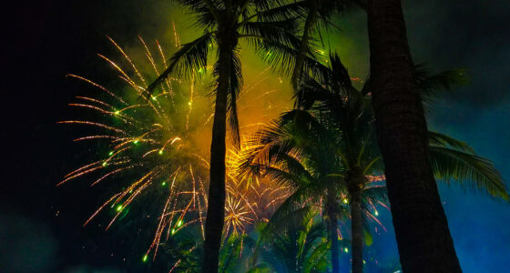 A New Year’s Guide to Florida’s Holiday Fireworks Statute