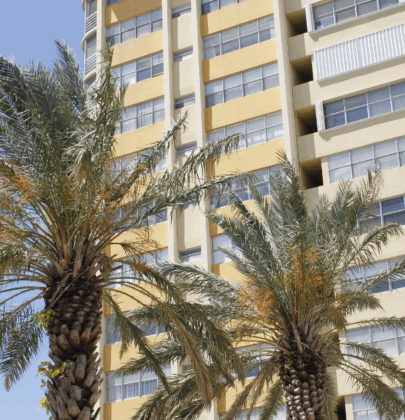 What actually moved the needle for Condos & HOAs in 2025?