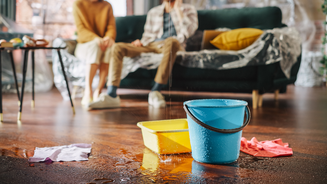 iStock-1478442773