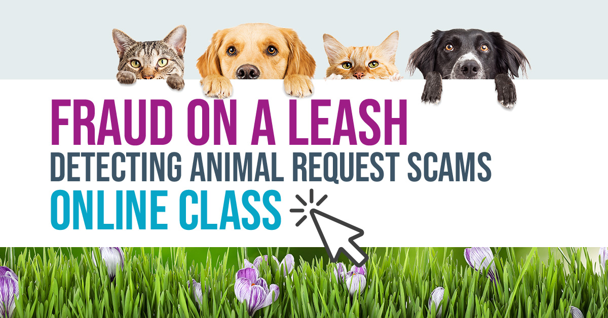 CLASS---Fraud-on-a-Leash---Detecting-Animal-Request-Scams---banner